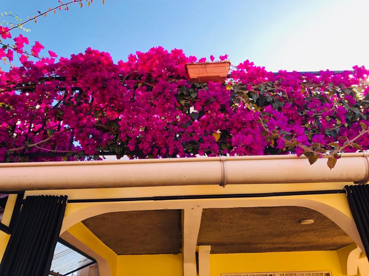 Petite Flower Guest House Talata-maty Kültér fotó