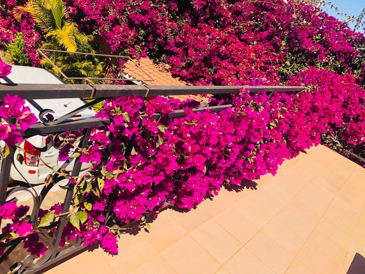 Petite Flower Guest House Talata-maty Kültér fotó